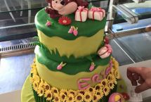 torte compleanno caffetteria vinci fasano (32)